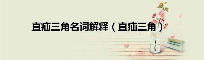 直疝三角名词解释（直疝三角）
