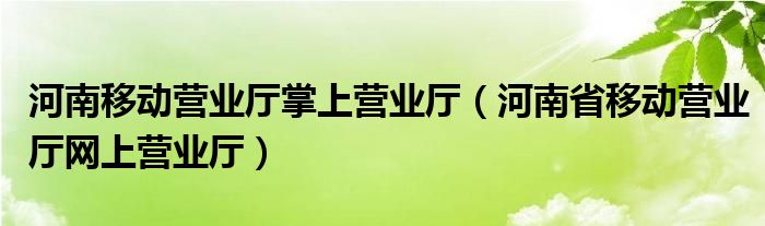 河南移动营业厅掌上营业厅（河南省移动营业厅网上营业厅）