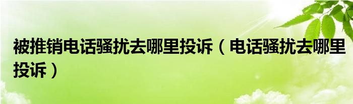 被推销电话骚扰去哪里投诉（电话骚扰去哪里投诉）