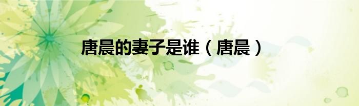 唐晨的妻子是谁（唐晨）