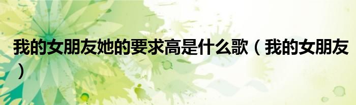我的女朋友她的要求高是什么歌（我的女朋友）