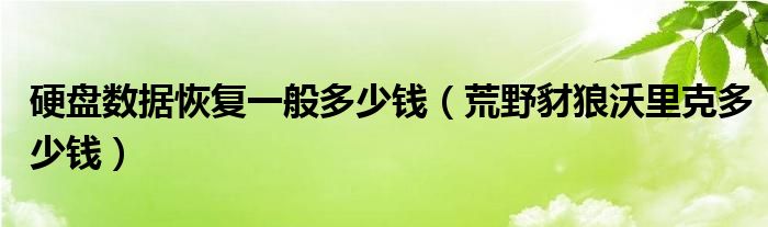 硬盘数据恢复一般多少钱（荒野豺狼沃里克多少钱）