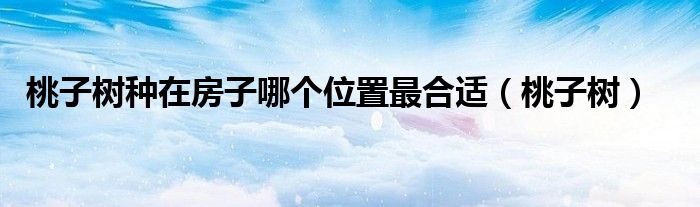 桃子树种在房子哪个位置最合适（桃子树）