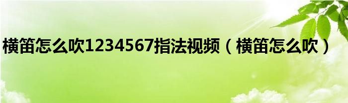 横笛怎么吹1234567指法视频（横笛怎么吹）