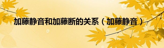 加藤静音和加藤断的关系（加藤静音）