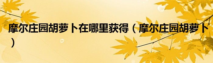 摩尔庄园胡萝卜在哪里获得（摩尔庄园胡萝卜）