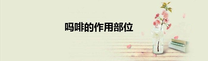 吗啡的作用部位