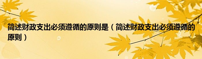 简述财政支出必须遵循的原则是（简述财政支出必须遵循的原则）