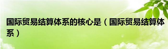 国际贸易结算体系的核心是（国际贸易结算体系）