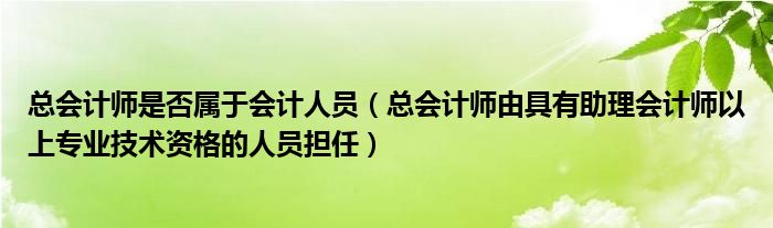 总会计师是否属于会计人员（总会计师由具有助理会计师以上专业技术资格的人员担任）