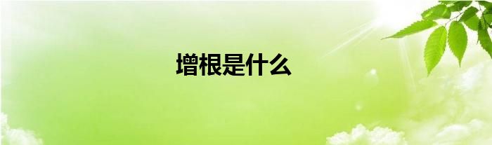 增根是什么