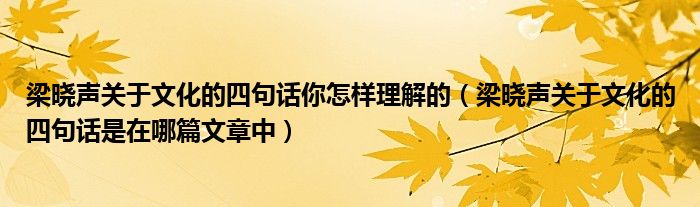 梁晓声关于文化的四句话你怎样理解的（梁晓声关于文化的四句话是在哪篇文章中）