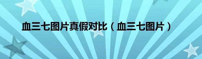 血三七图片真假对比（血三七图片）