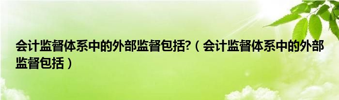 会计监督体系中的外部监督包括?（会计监督体系中的外部监督包括）