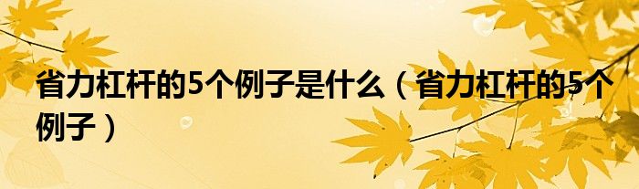 省力杠杆的5个例子是什么（省力杠杆的5个例子）