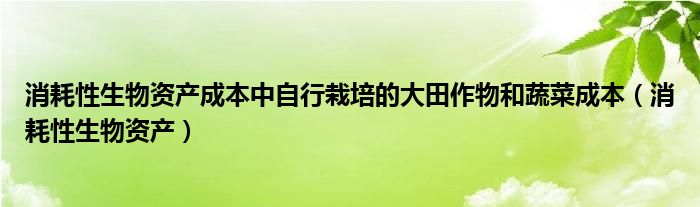 消耗性生物资产成本中自行栽培的大田作物和蔬菜成本（消耗性生物资产）