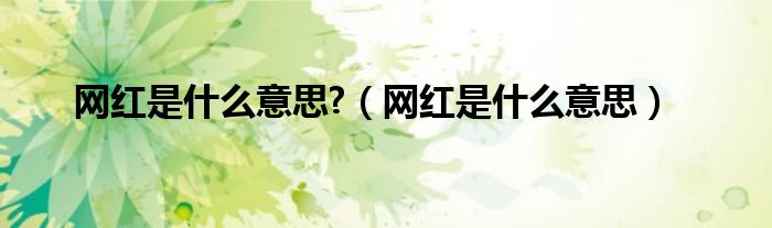 网红是什么意思?（网红是什么意思）