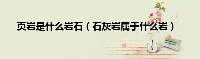 页岩是什么岩石（石灰岩属于什么岩）