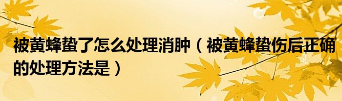 被黄蜂蛰了怎么处理消肿（被黄蜂蛰伤后正确的处理方法是）