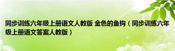同步训练六年级上册语文人教版 金色的鱼钩（同步训练六年级上册语文答案人教版）