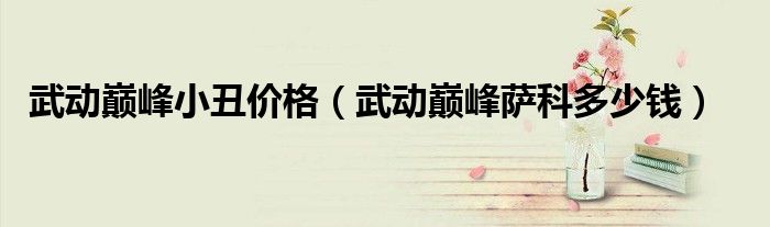 武动巅峰小丑价格（武动巅峰萨科多少钱）
