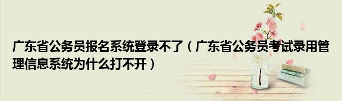 广东省公务员报名系统登录不了（广东省公务员考试录用管理信息系统为什么打不开）