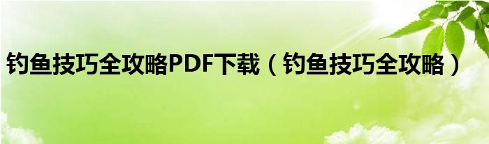 钓鱼技巧全攻略PDF下载（钓鱼技巧全攻略）
