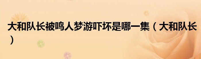 大和队长被鸣人梦游吓坏是哪一集（大和队长）