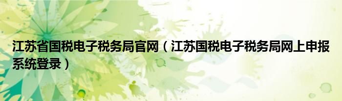 江苏省国税电子税务局官网（江苏国税电子税务局网上申报系统登录）