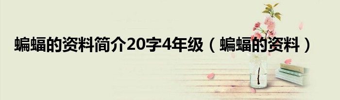 蝙蝠的资料简介20字4年级（蝙蝠的资料）
