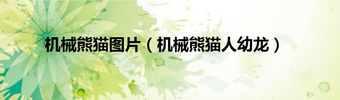 机械熊猫图片（机械熊猫人幼龙）