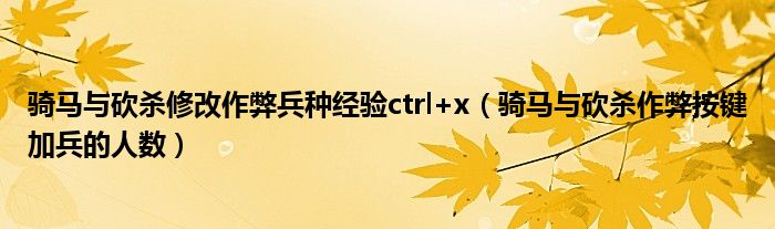 骑马与砍杀修改作弊兵种经验ctrl+x（骑马与砍杀作弊按键加兵的人数）