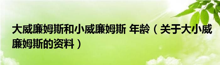 大威廉姆斯和小威廉姆斯 年龄（关于大小威廉姆斯的资料）