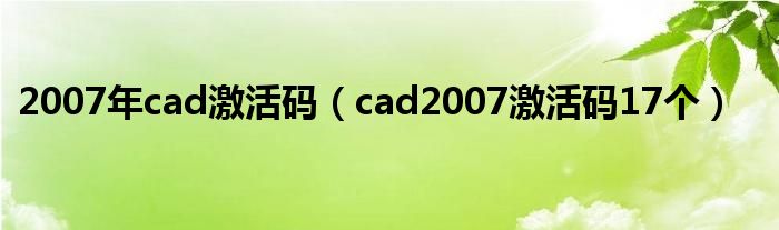 2007年cad激活码（cad2007激活码17个）