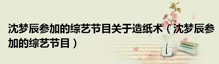 沈梦辰参加的综艺节目关于造纸术（沈梦辰参加的综艺节目）