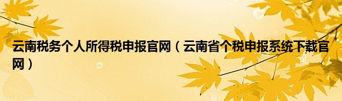 云南税务个人所得税申报官网（云南省个税申报系统下载官网）