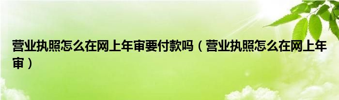 营业执照怎么在网上年审要付款吗（营业执照怎么在网上年审）