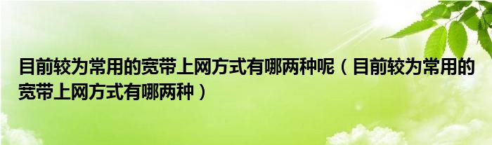 目前较为常用的宽带上网方式有哪两种呢（目前较为常用的宽带上网方式有哪两种）