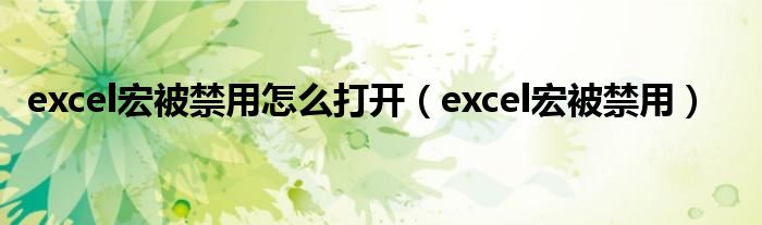 excel宏被禁用怎么打开（excel宏被禁用）