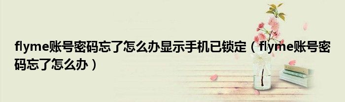 flyme账号密码忘了怎么办显示手机已锁定（flyme账号密码忘了怎么办）