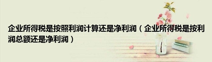 企业所得税是按照利润计算还是净利润（企业所得税是按利润总额还是净利润）