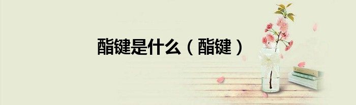 酯键是什么（酯键）