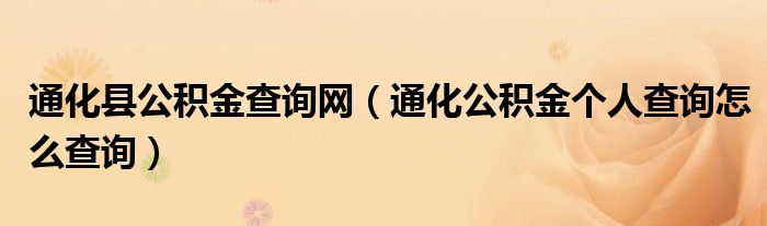 通化县公积金查询网（通化公积金个人查询怎么查询）
