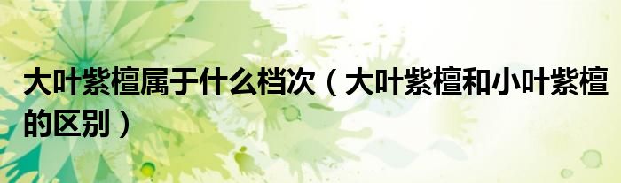 大叶紫檀属于什么档次（大叶紫檀和小叶紫檀的区别）