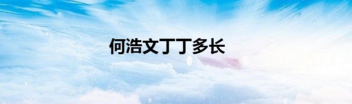 何浩文丁丁多长