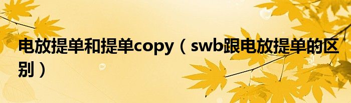 电放提单和提单copy（swb跟电放提单的区别）