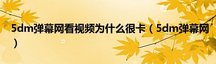 5dm弹幕网看视频为什么很卡（5dm弹幕网）