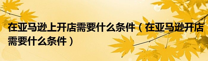 在亚马逊上开店需要什么条件（在亚马逊开店需要什么条件）