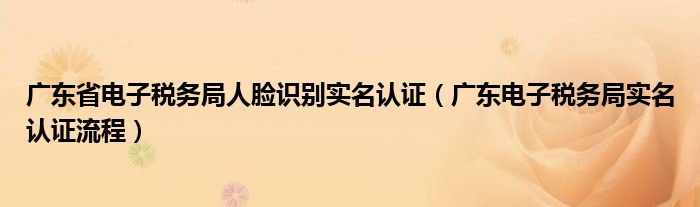 广东省电子税务局人脸识别实名认证（广东电子税务局实名认证流程）
