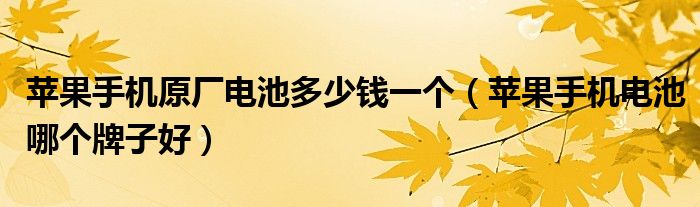 苹果手机原厂电池多少钱一个（苹果手机电池哪个牌子好）